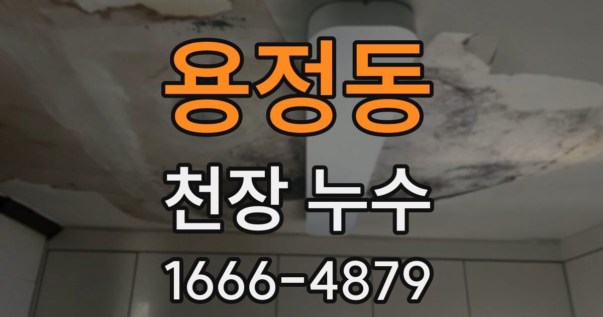 용정동 천장 누수