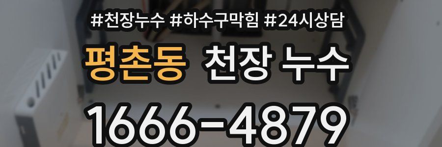 평촌동 천장 누수