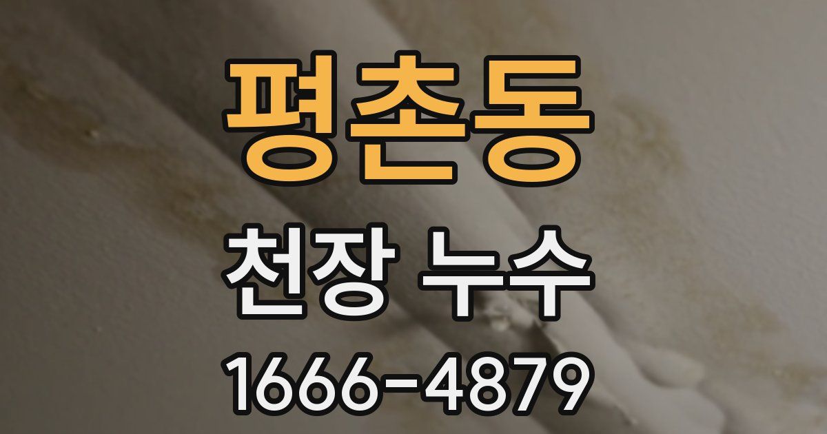 평촌동 천장 누수