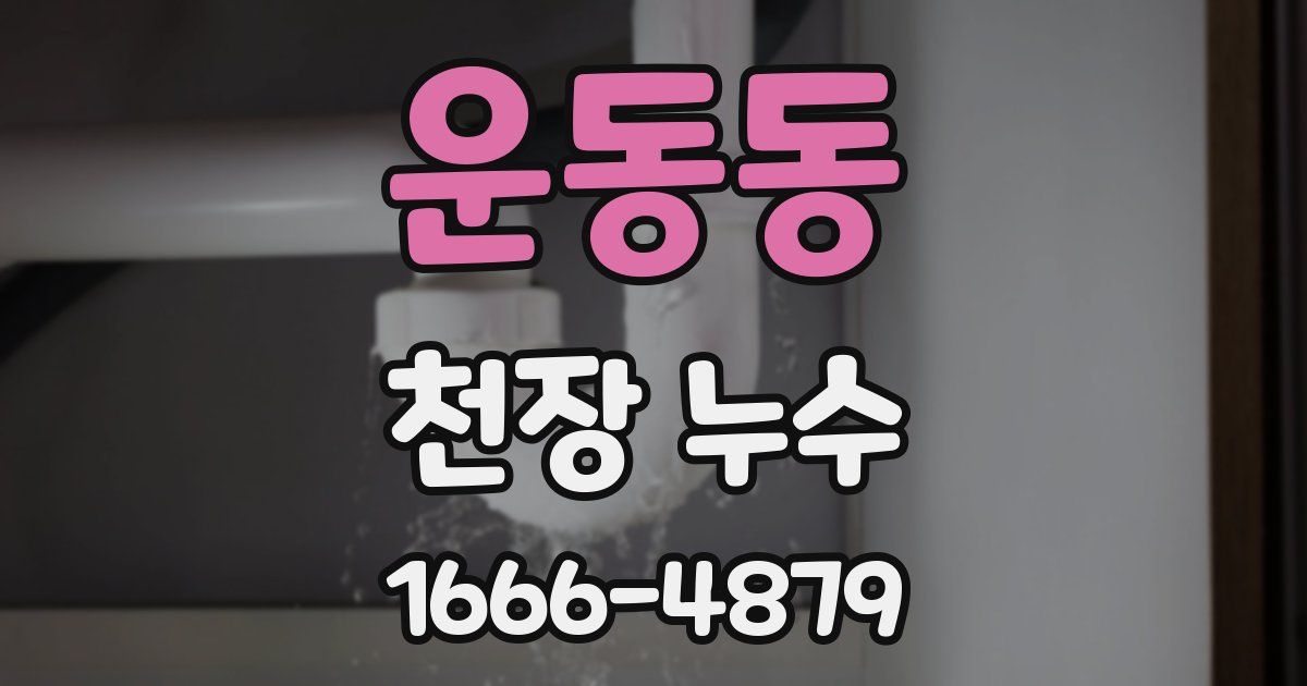 운동동 천장 누수