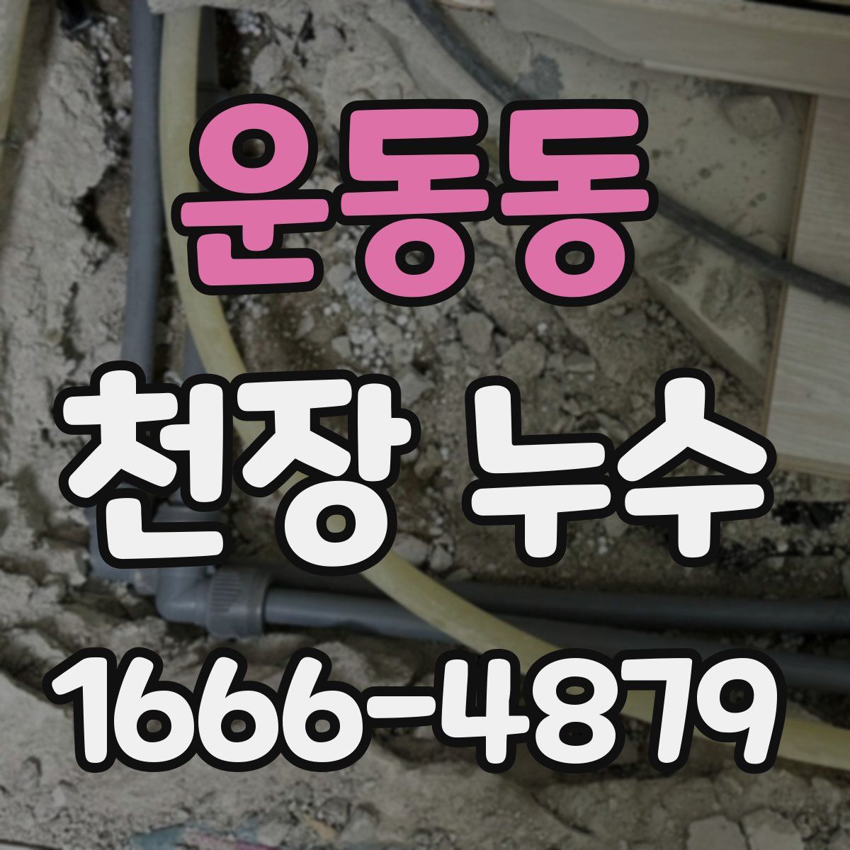 운동동 천장 누수