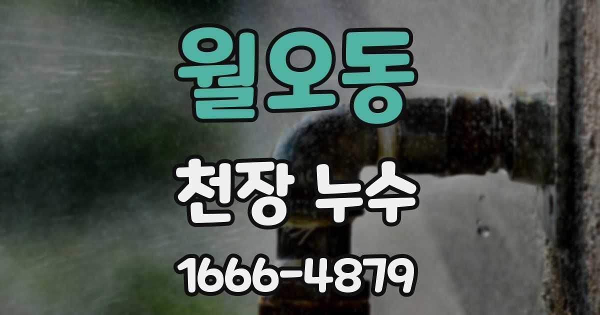 월오동 천장 누수