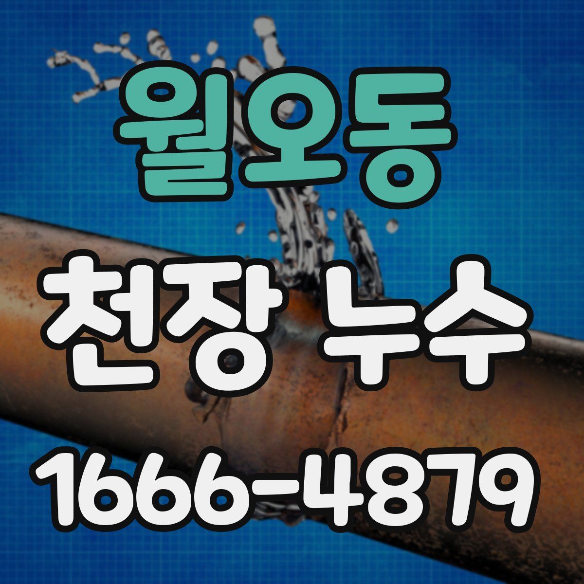 월오동 천장 누수