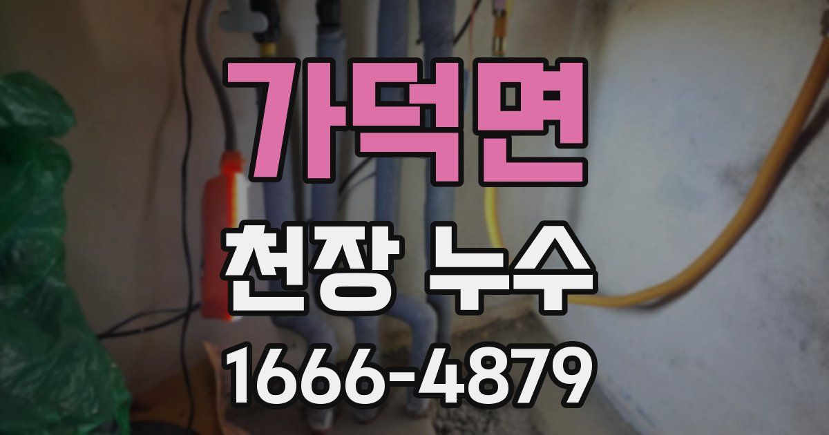 가덕면 천장 누수