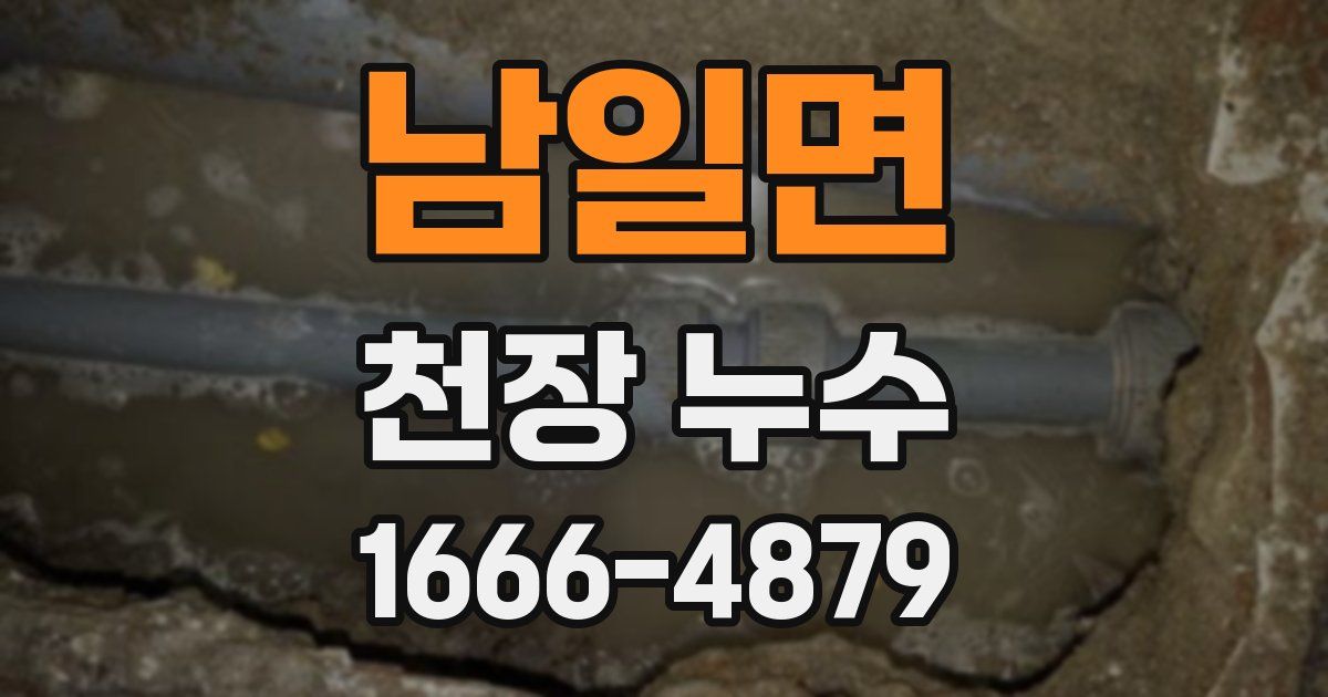 남일면 천장 누수