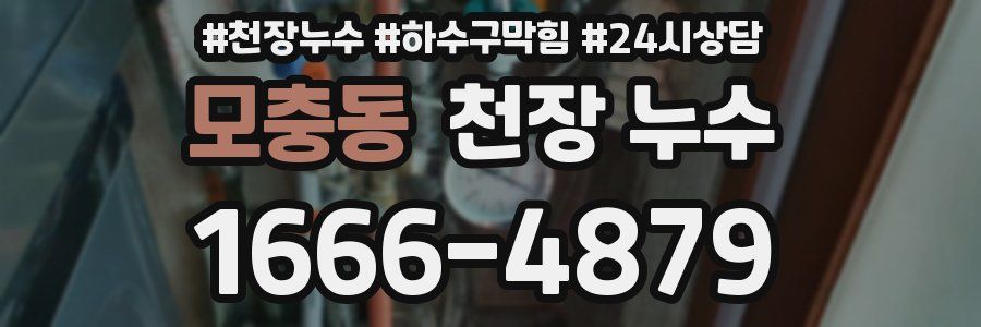 모충동 천장 누수