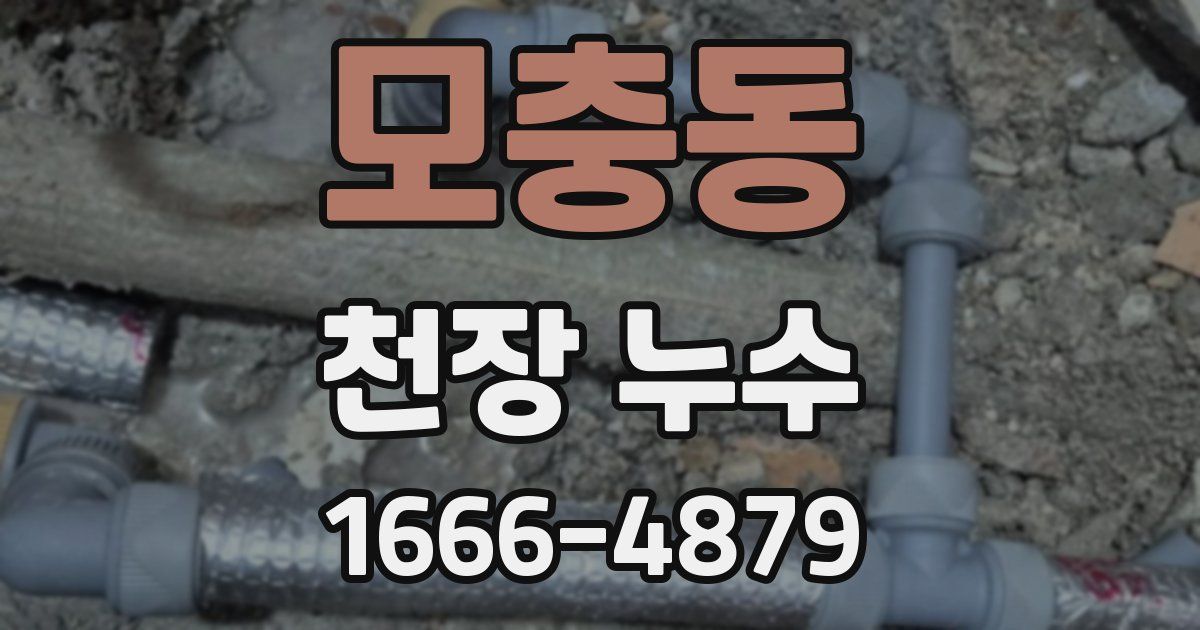 모충동 천장 누수