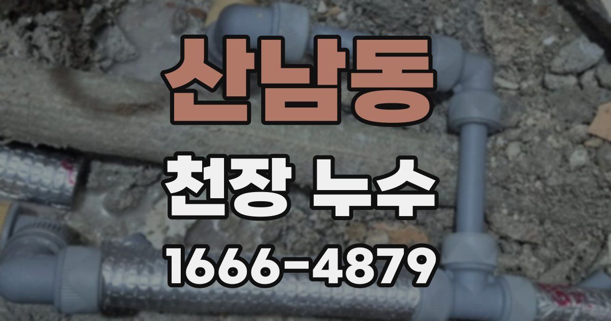 산남동 천장 누수