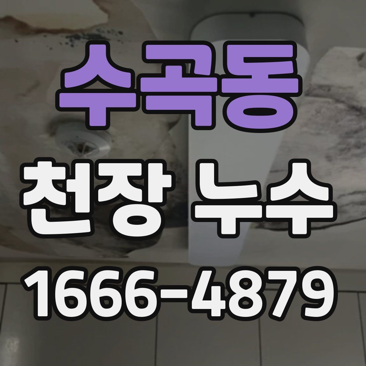 수곡동 천장 누수 곰팡이와 악취가 생기기 전 점검하세요