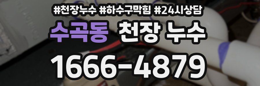 수곡동 천장 누수