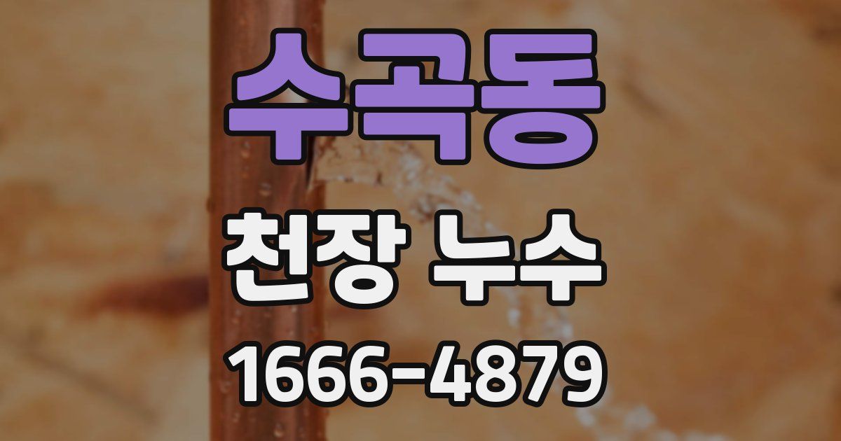 수곡동 천장 누수