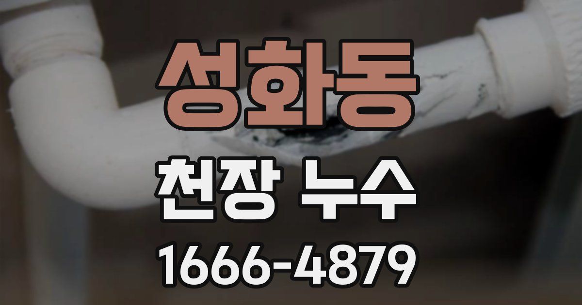 성화동 천장 누수