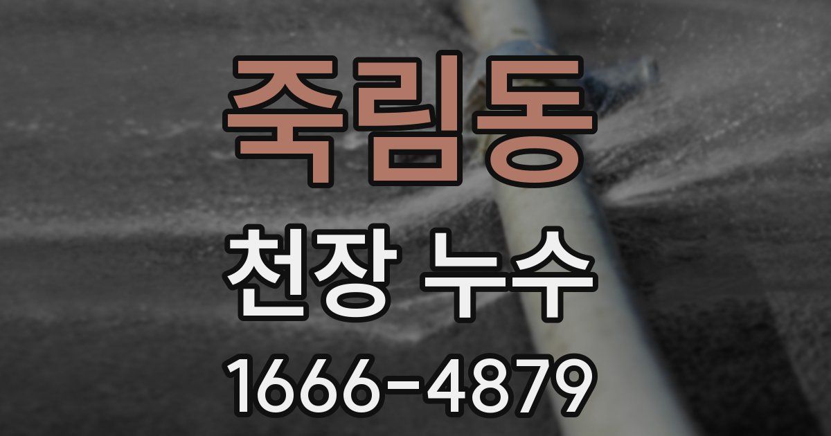 죽림동 천장 누수