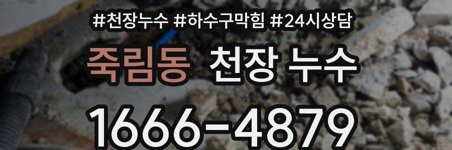 죽림동 천장 누수