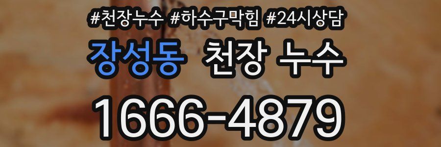 장성동 천장 누수