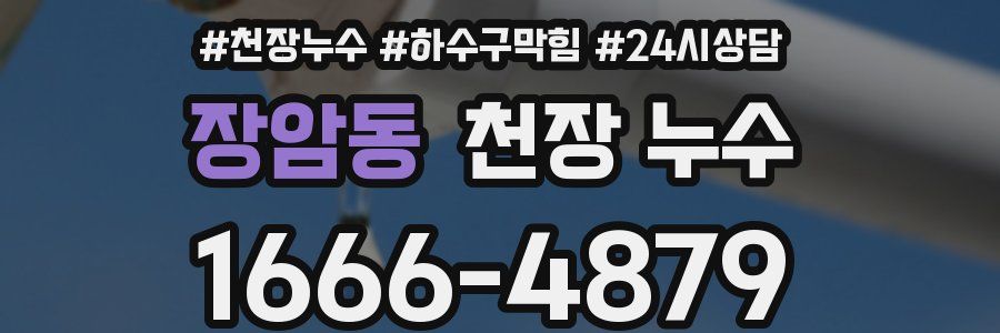 장암동 천장 누수