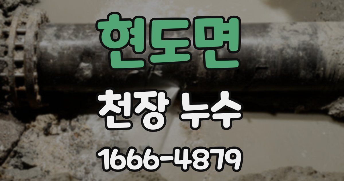 현도면 천장 누수