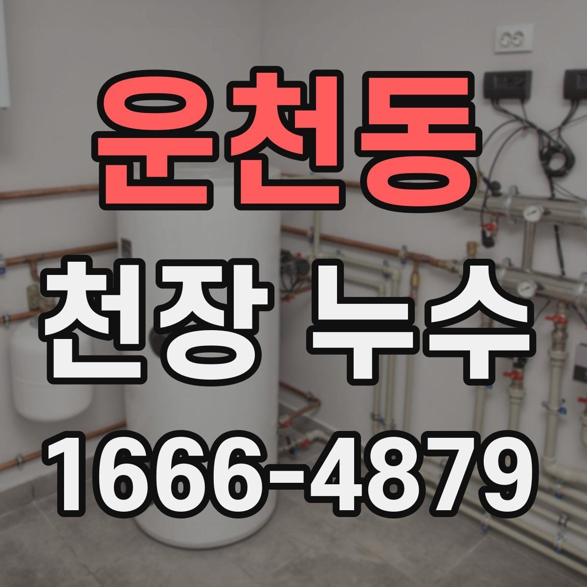 운천동 천장 누수 등기구 안으로 물이 스며들 때 대처법