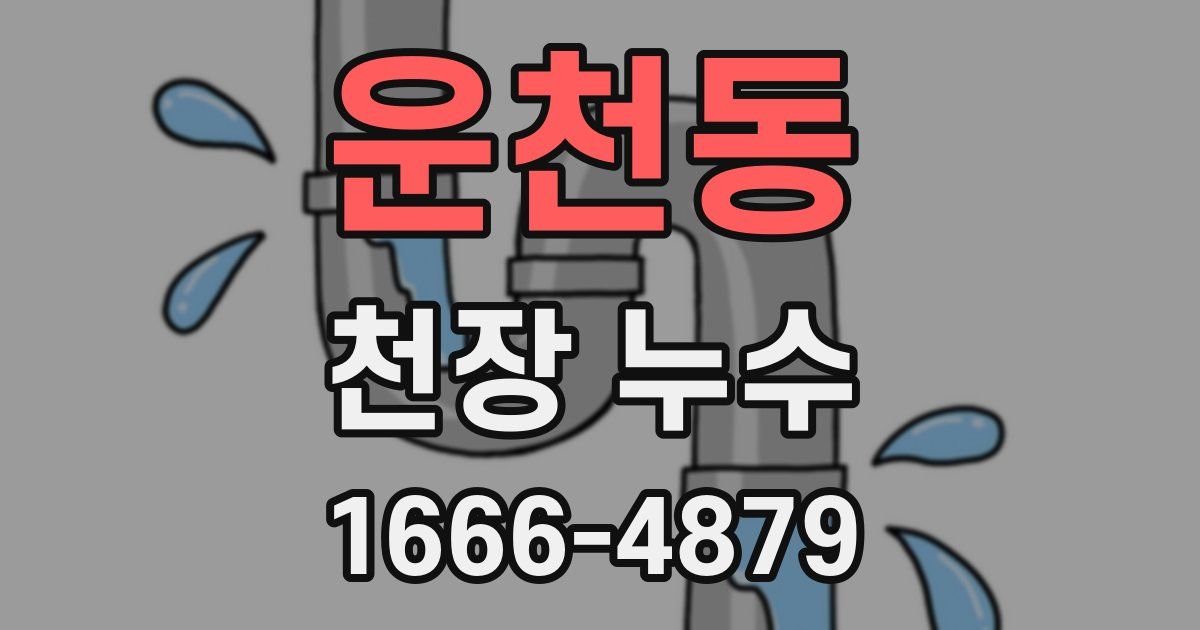 운천동 천장 누수