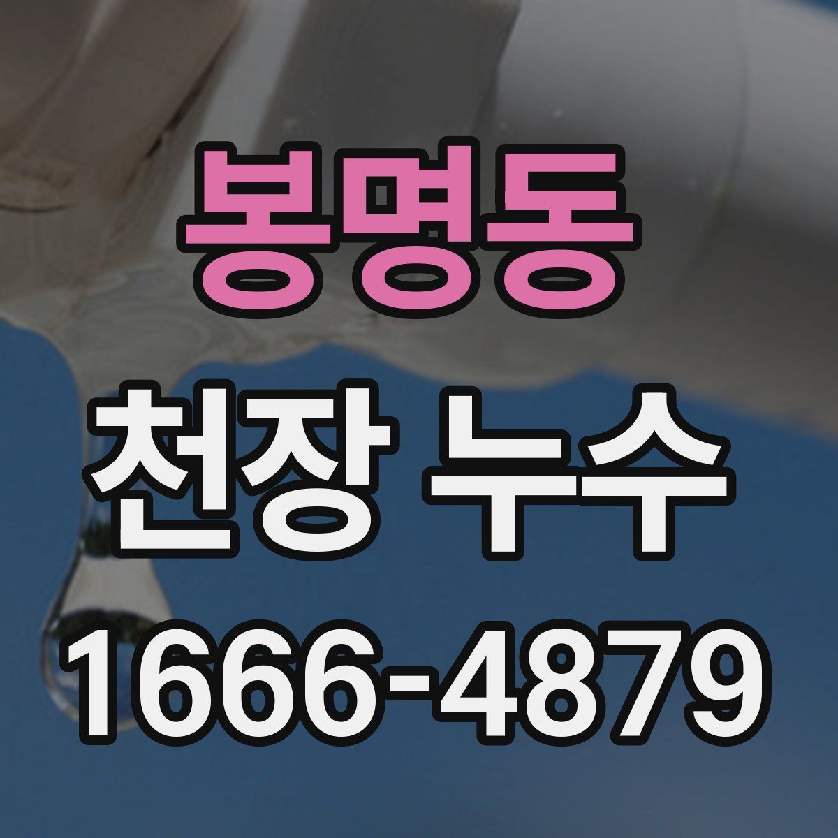 봉명동 천장 누수