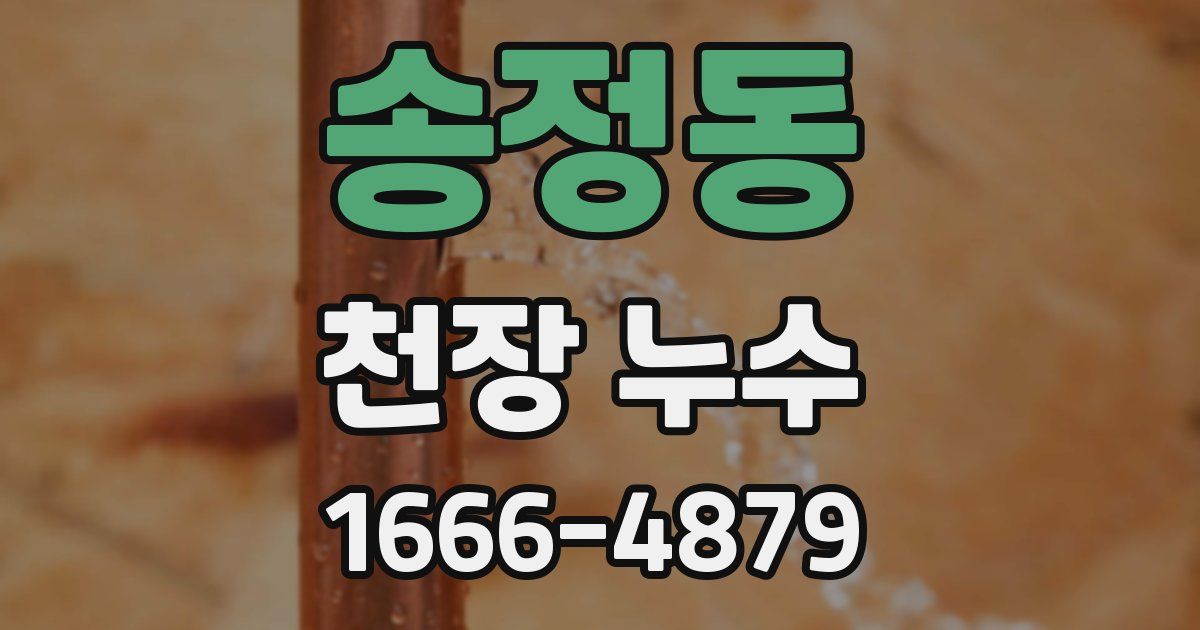 송정동 천장 누수