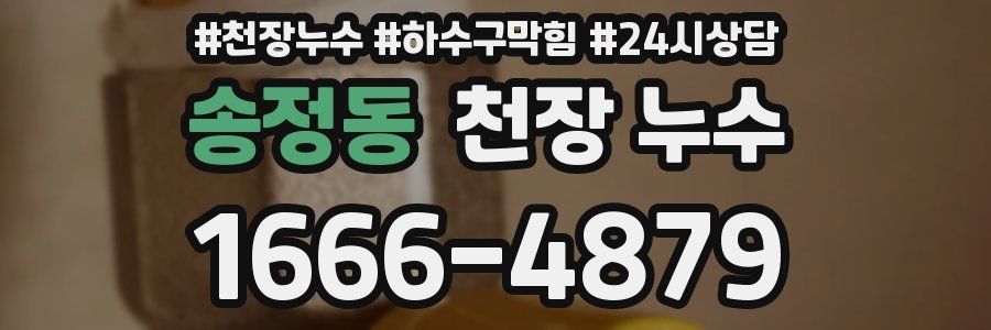 송정동 천장 누수