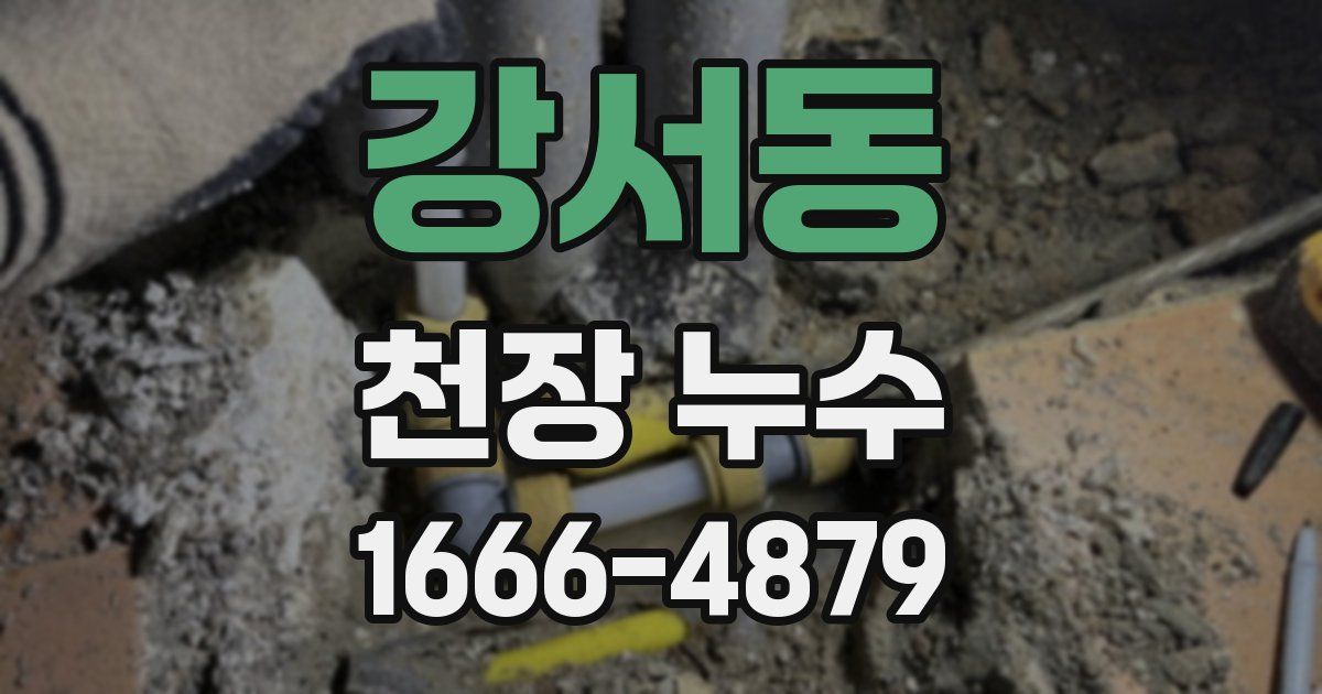 강서동 천장 누수