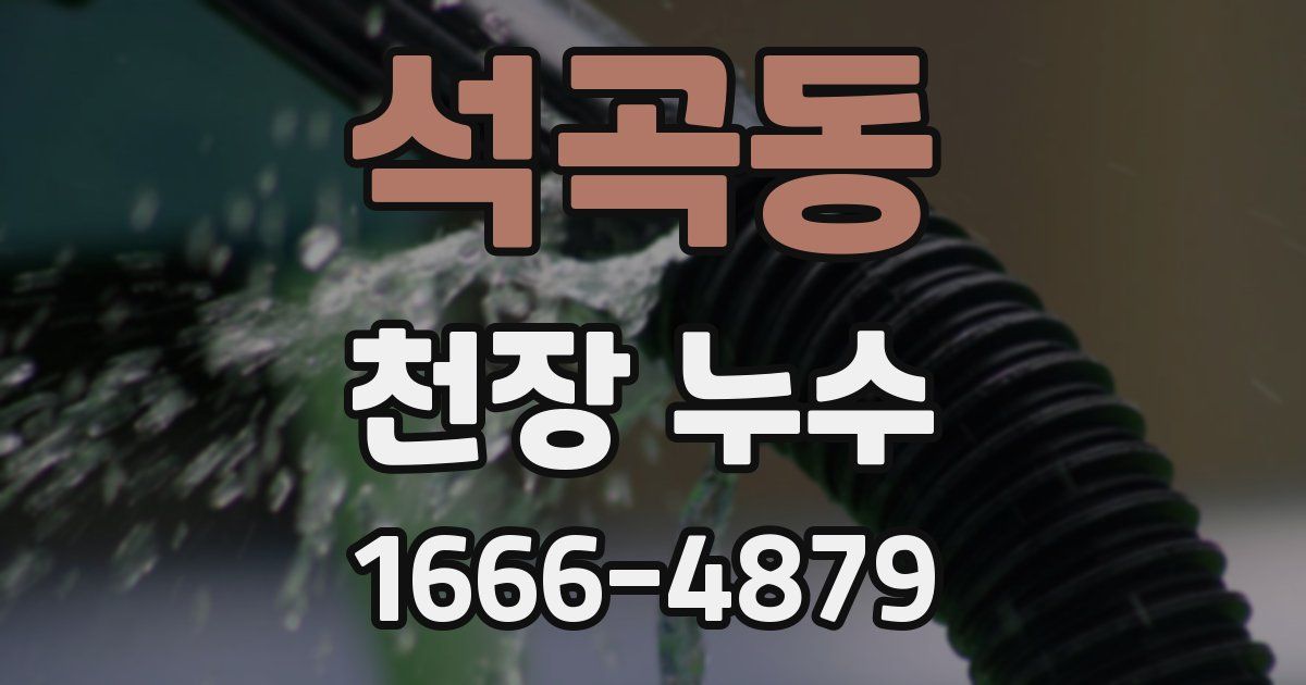 석곡동 천장 누수