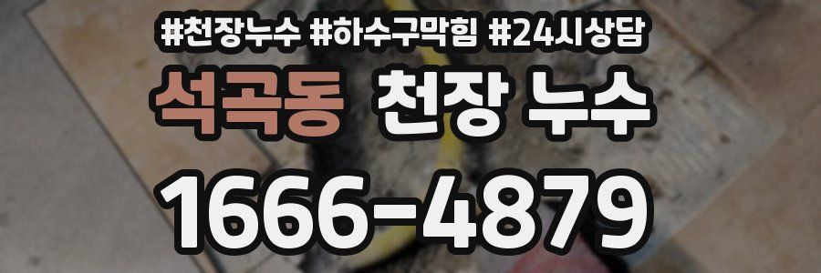 석곡동 천장 누수