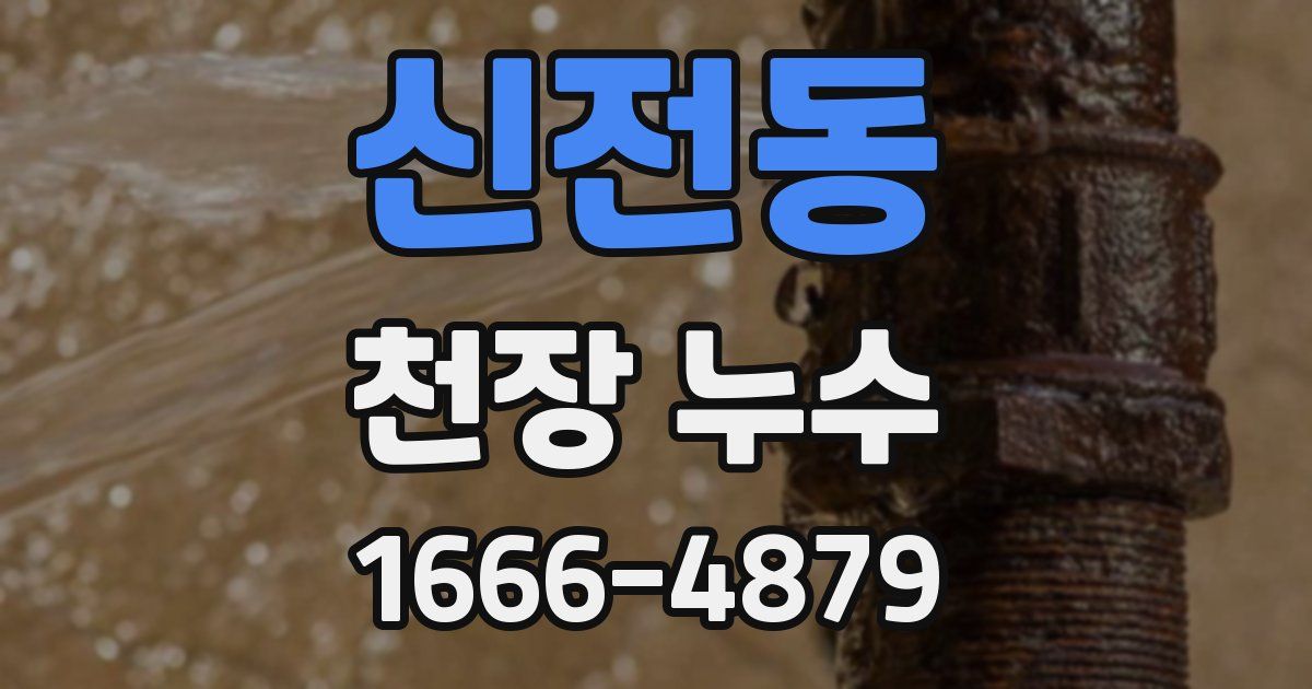신전동 천장 누수