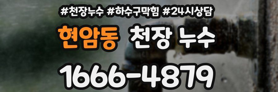 현암동 천장 누수