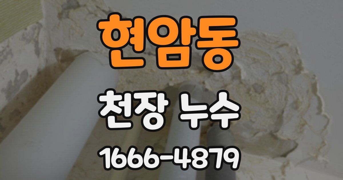 현암동 천장 누수