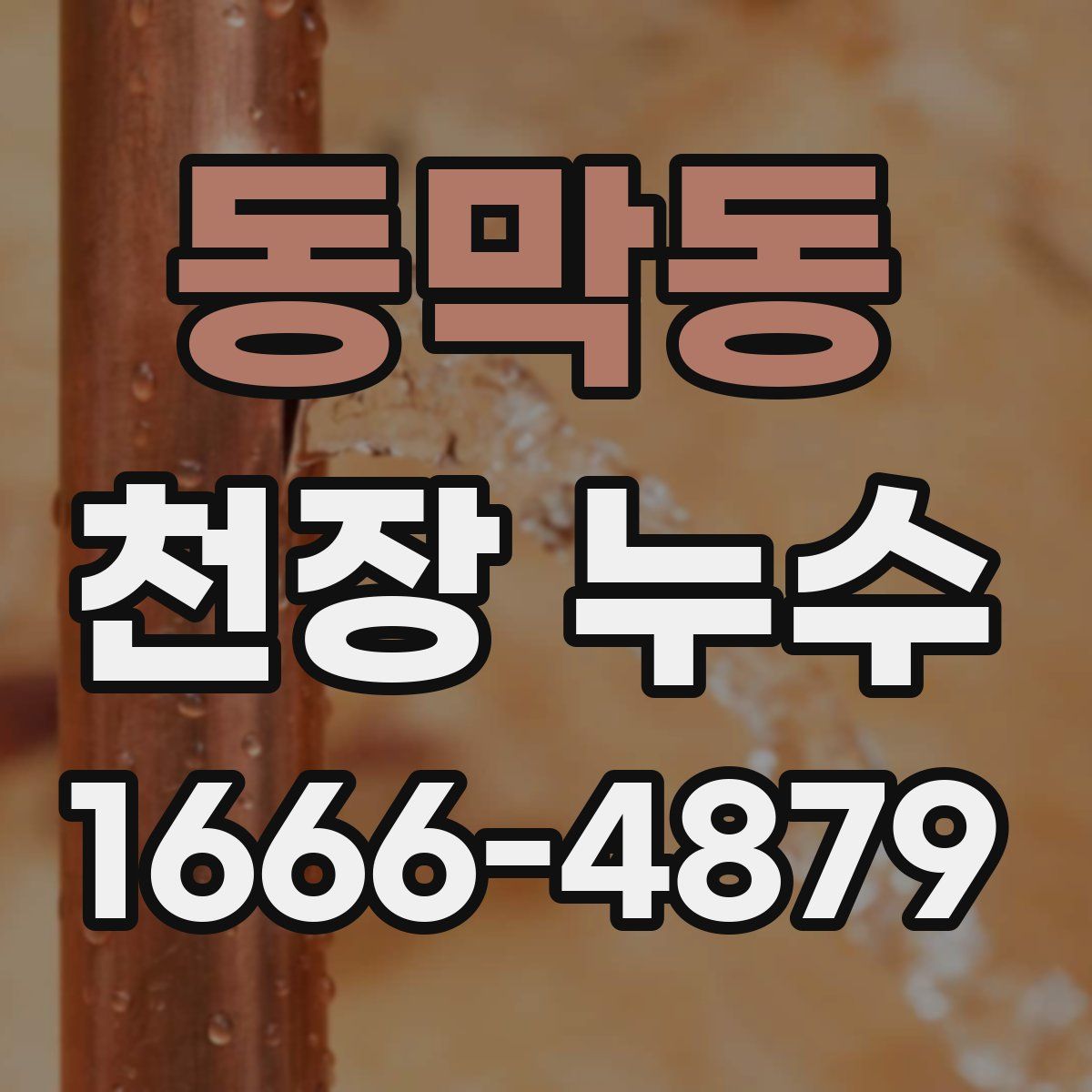 동막동 천장 누수