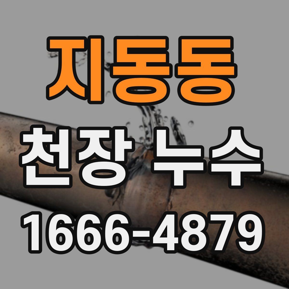 지동동 천장 누수 배수구 역류가 천장 누수처럼 보일 수 있을까