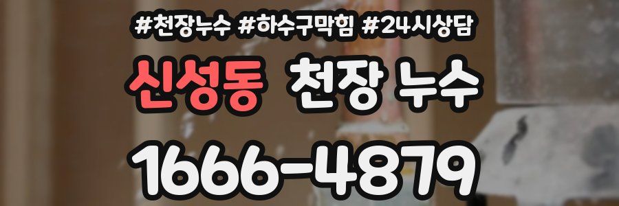 신성동 천장 누수