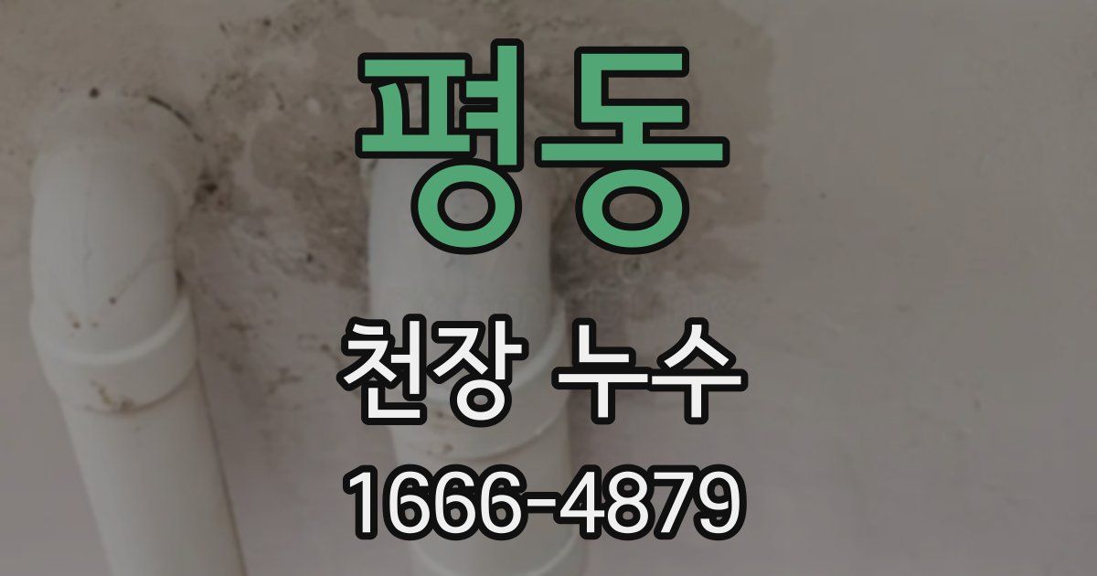 평동 천장 누수
