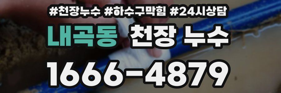 내곡동 천장 누수