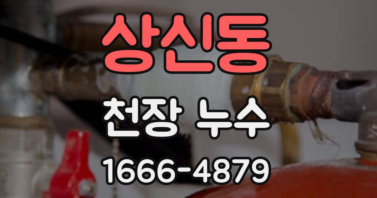 상신동 천장 누수