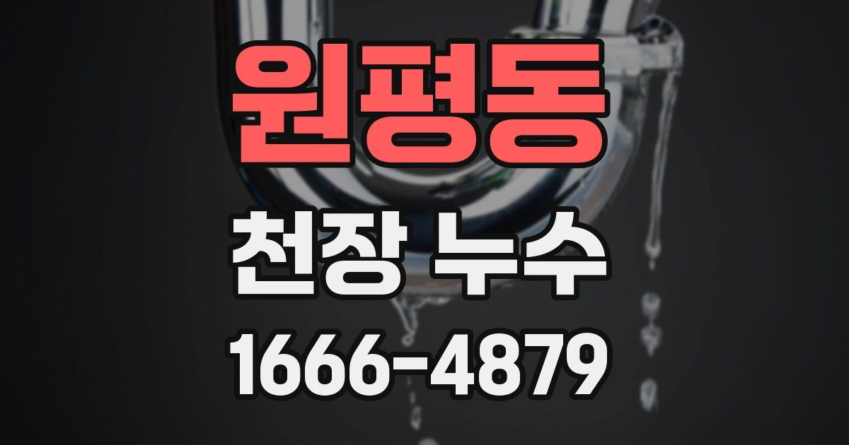 원평동 천장 누수