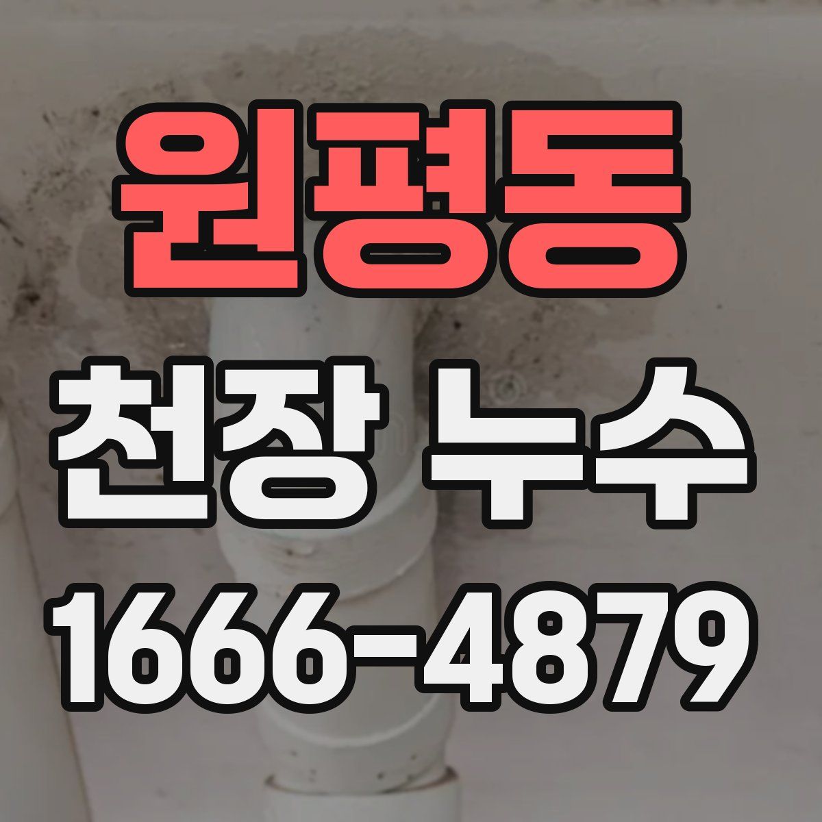 원평동 천장 누수