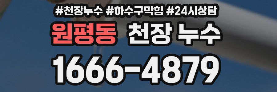 원평동 천장 누수