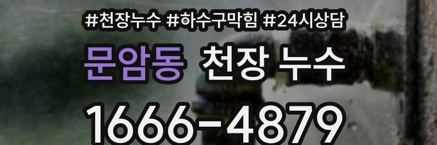 문암동 천장 누수