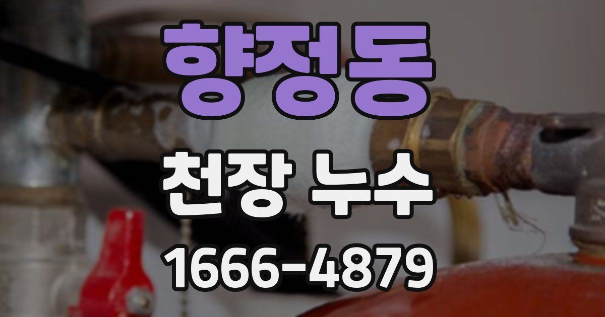 향정동 천장 누수