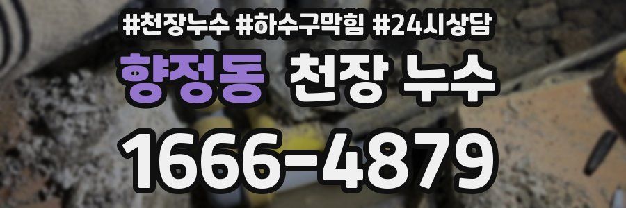 향정동 천장 누수