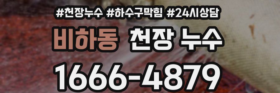 비하동 천장 누수