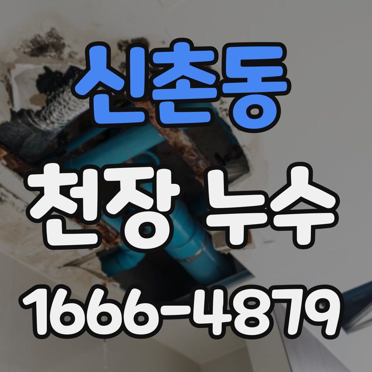 신촌동 천장 누수
