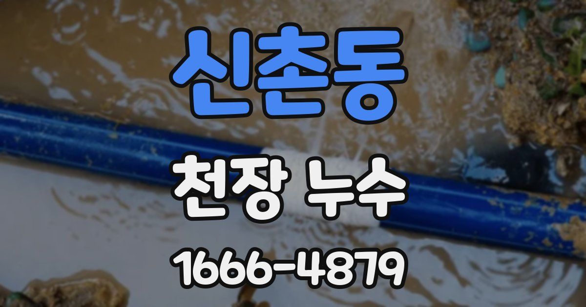 신촌동 천장 누수