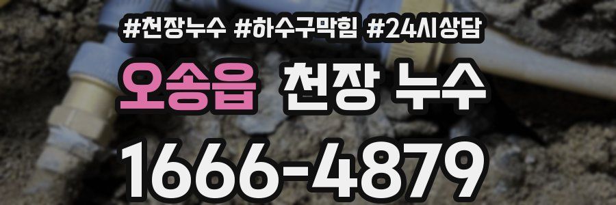 오송읍 천장 누수