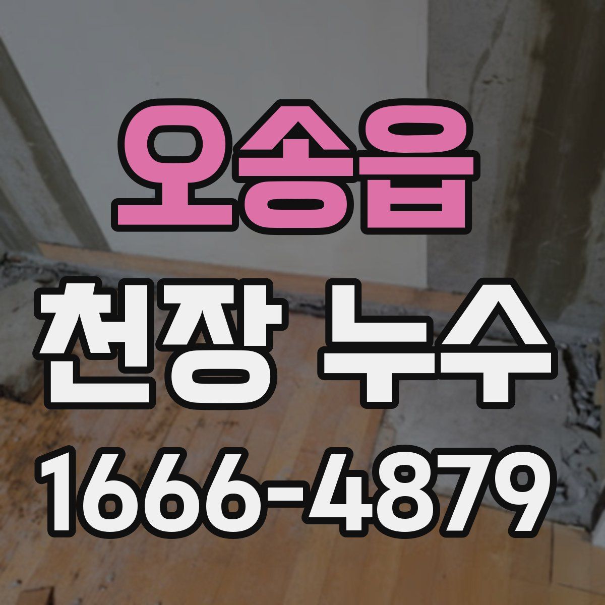 오송읍 천장 누수