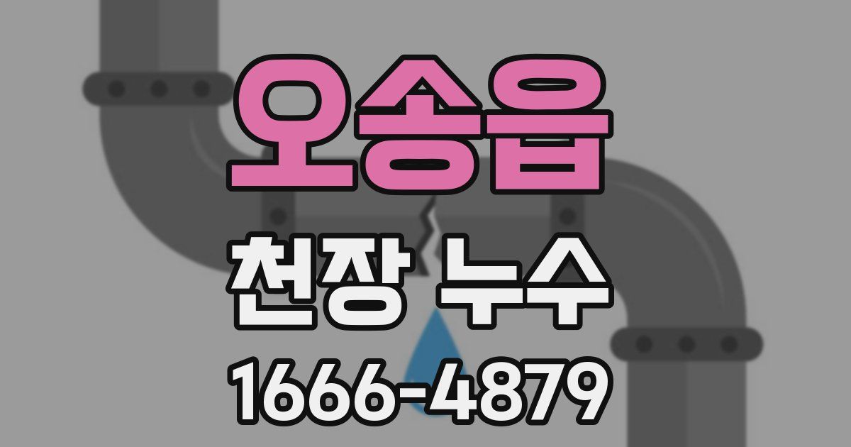 오송읍 천장 누수